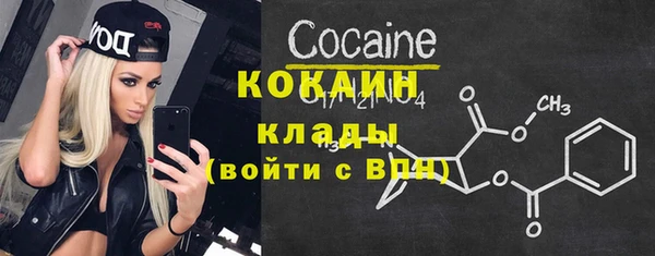 твердый Козельск