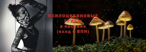 бутират Козловка