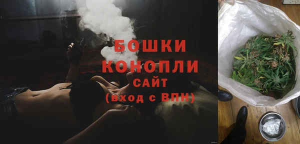 твердый Козельск