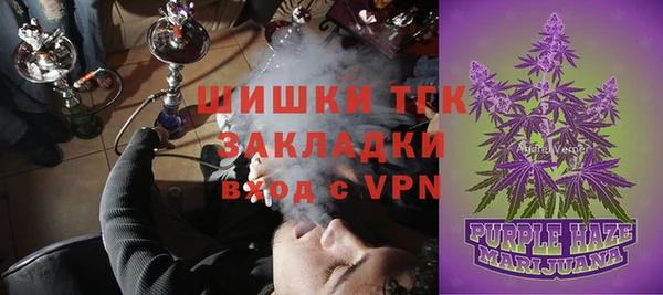 твердый Козельск