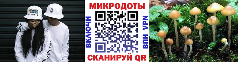 Купить где  Нахабино  Галлюциногенные грибы Cubensis 