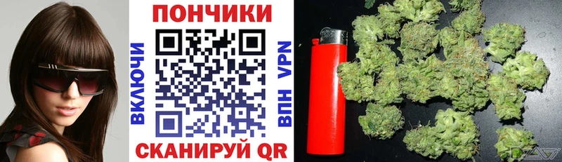 Купить закладки  Нахабино  Марихуана конопля 